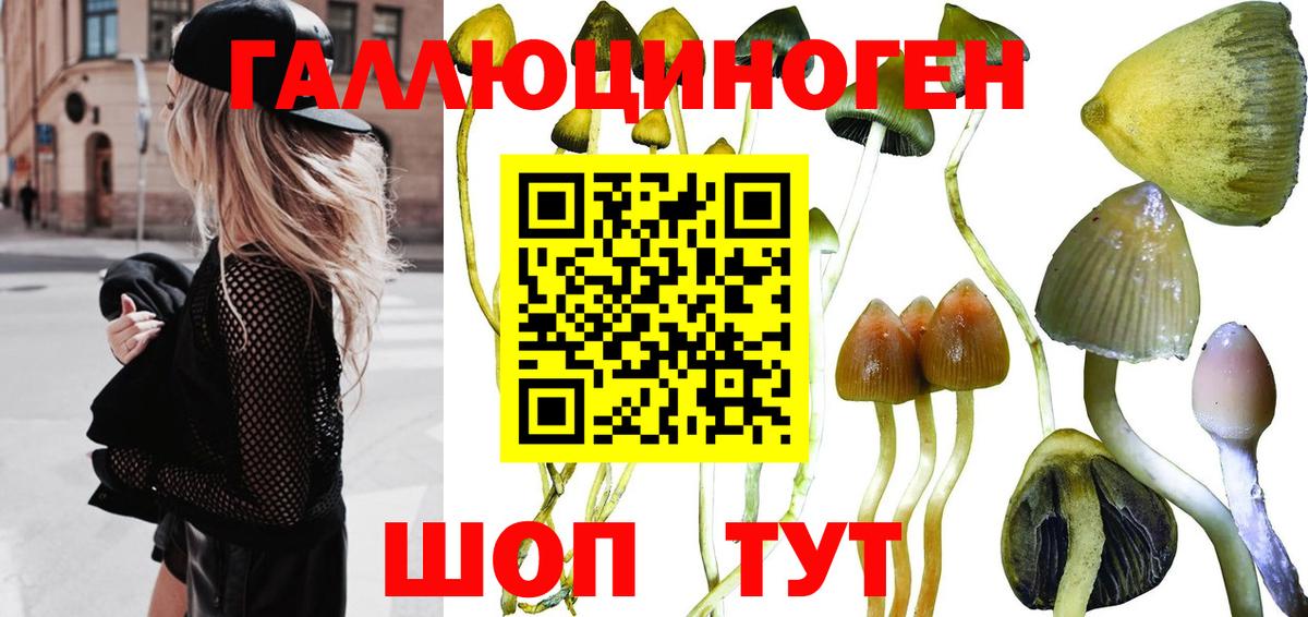 Когалым  Галлюциногенные грибы мицелий  Псилоцибиновые грибы Psilocybine cubensis  Вход с VPN 